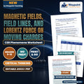 Magnetic Fields, Field Lines, and Lorentz Force on Moving Charges CER Phenomena Worksheet cover