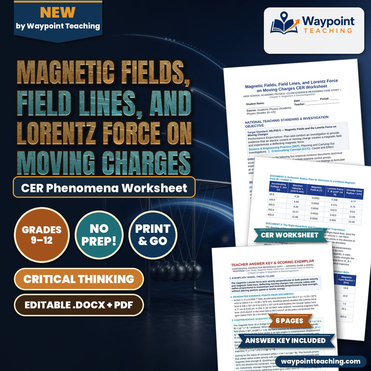 Magnetic Fields, Field Lines, and Lorentz Force on Moving Charges CER Phenomena Worksheet cover