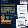 Mechanical Power and Metabolic Energy Consumption in Stair Climbing CER Phenomena Worksheet cover
