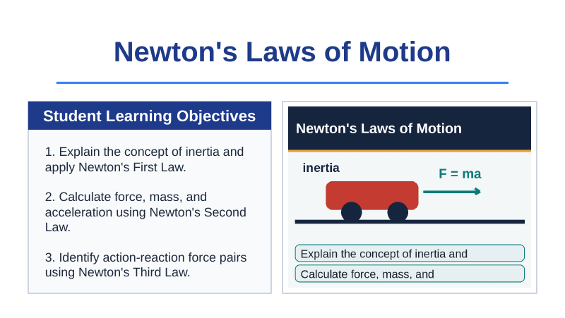 Newton's Laws of Motion Slide Show Presentation sample page