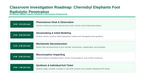 Radioactivity & Nuclear Decay Phenomena-Based Lesson: Radiolytic Camera Degradation and Heavy Alpha, Beta, and Gamma Shielding Around the Chernobyl Corium 'Elephant's Foot' Presentation sample page