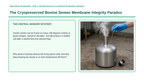 Animal Reproduction & Breeding Systems Phenomena-Based Lesson: The Cryopreserved Bovine Semen Membrane Integrity Paradox Presentation sample page