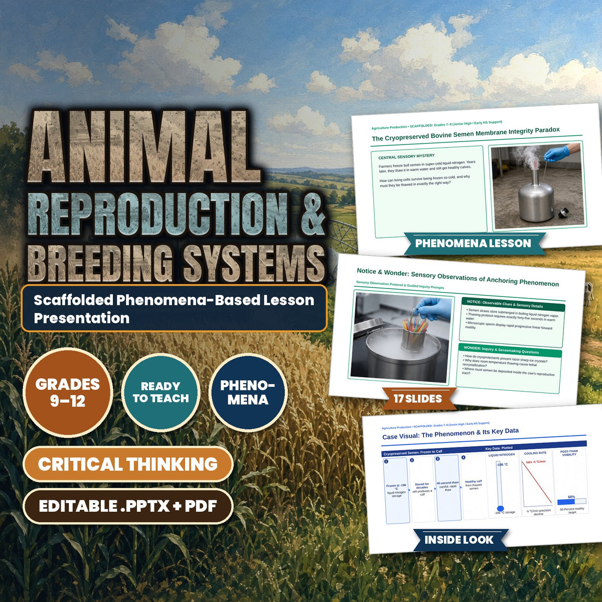 Animal Reproduction & Breeding Systems Scaffolded Phenomena-Based Lesson: The Cryopreserved Bovine Semen Membrane Integrity Paradox Presentation cover