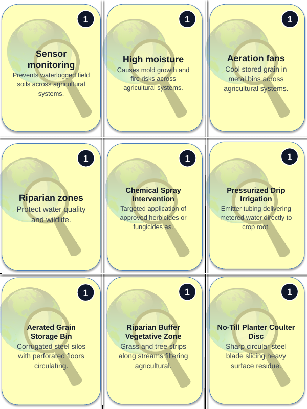 Crop Production & Management Trivia Board Game sample page