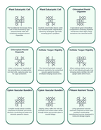 Plant Science Principles Tic-Tac-Toe Review Game sample page