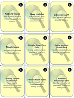 Plant Science Principles Trivia Board Game sample page