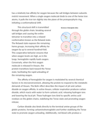 Analyzing the Structure and Function of Hemoglobin Reading Worksheet sample page