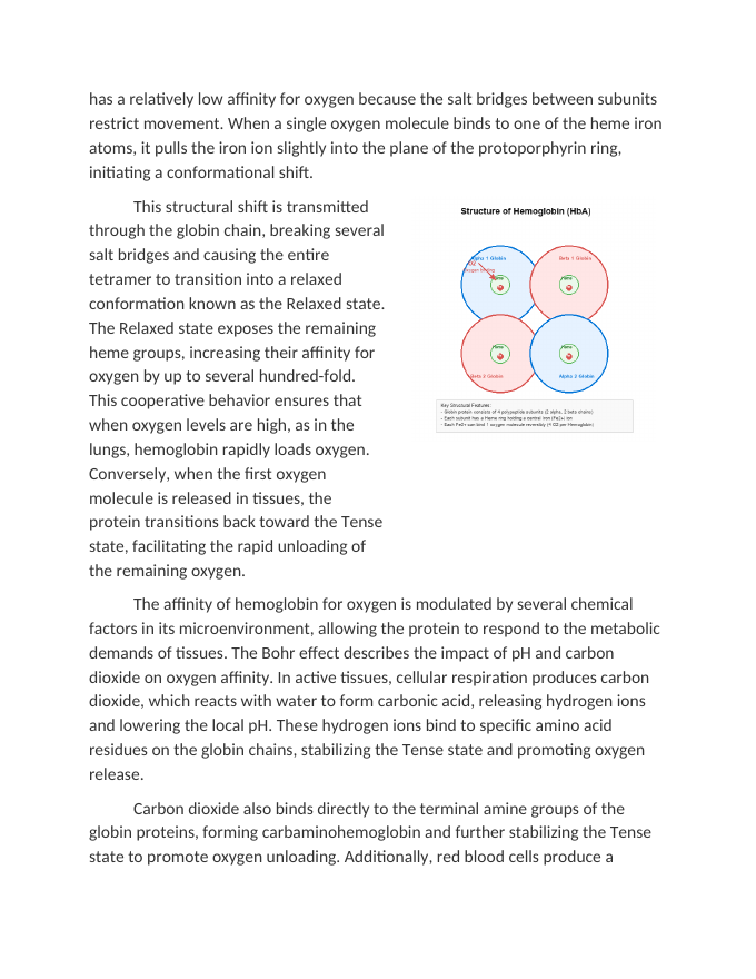 Analyzing the Structure and Function of Hemoglobin Reading Worksheet sample page