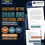 Anatomy of the Brain and Functional Lobes Reading Worksheet cover