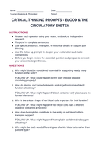 Blood & the Circulatory System Critical Thinking Prompts sample page