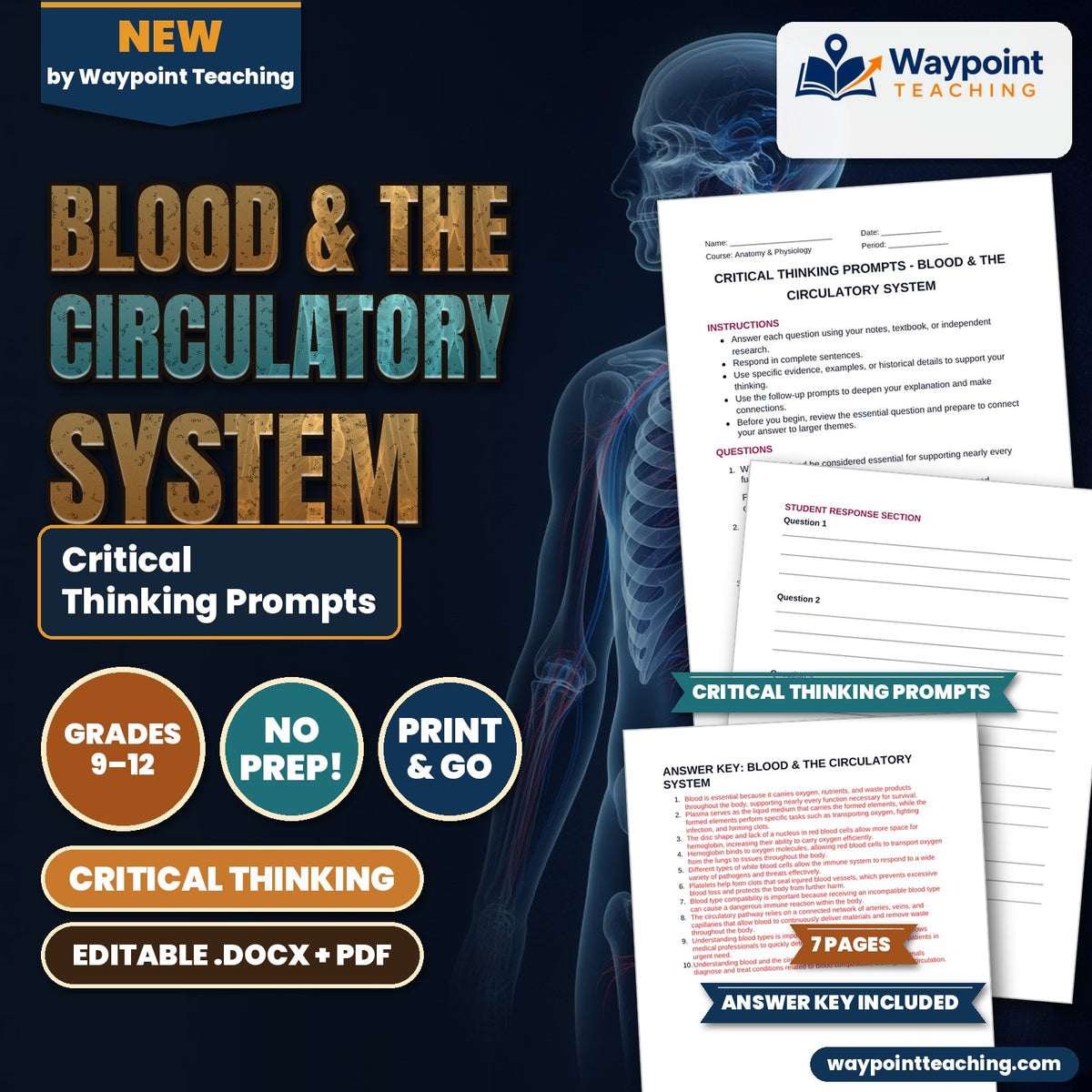 Blood & the Circulatory System Critical Thinking Prompts cover