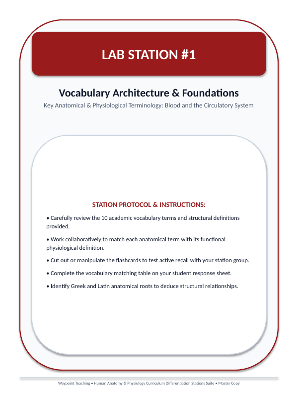 Blood & the Circulatory System Differentiation Stations sample page