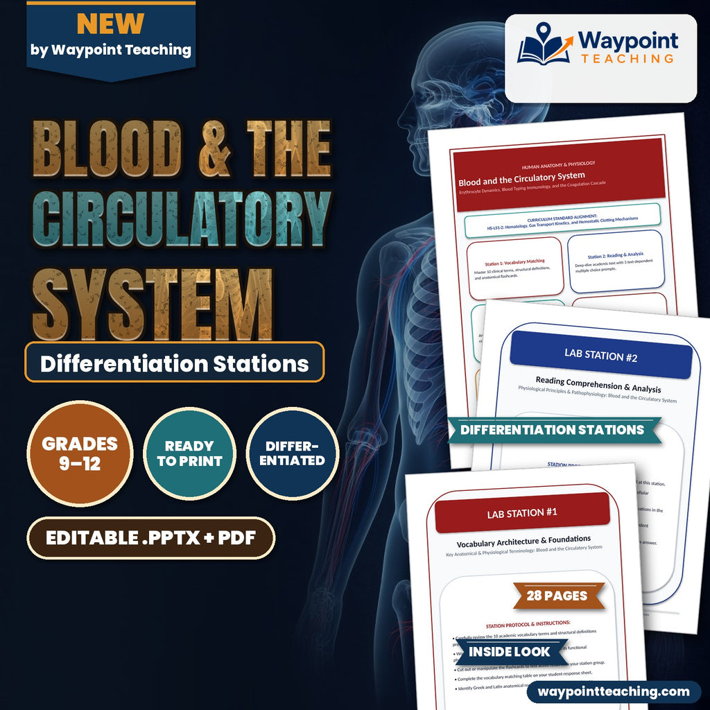Blood & the Circulatory System Differentiation Stations cover