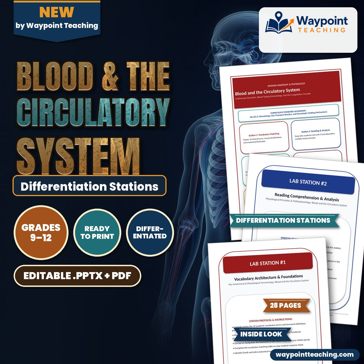 Blood & the Circulatory System Differentiation Stations cover