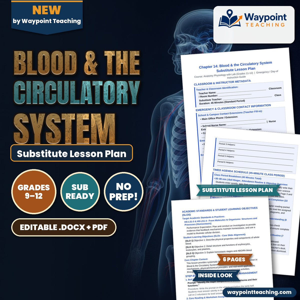 Blood & the Circulatory System Substitute Lesson Plan cover