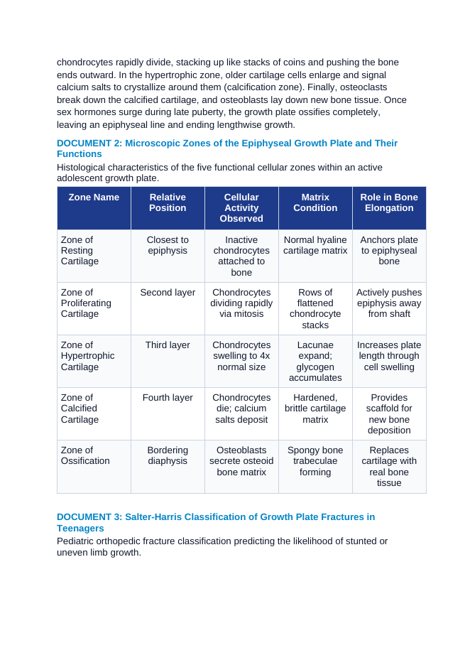 Bone Growth and Epiphyseal Growth Plates: How Long Bones Lengthen and Heal Fractures CER Phenomena Worksheet sample page
