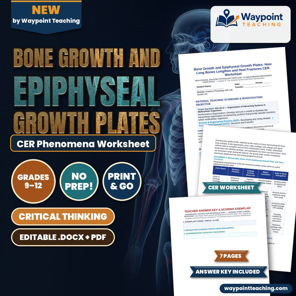 Bone Growth and Epiphyseal Growth Plates: How Long Bones Lengthen and Heal Fractures CER Phenomena Worksheet cover
