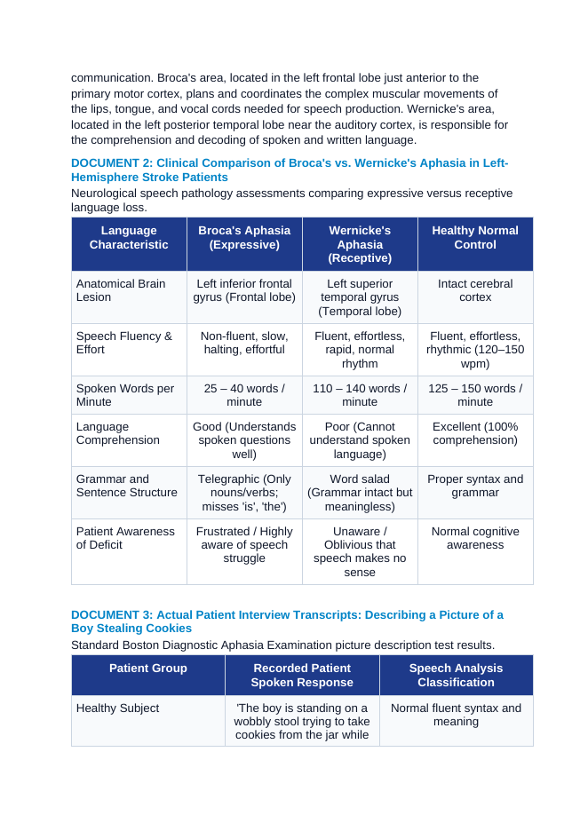 Brain Hemispheres and Functional Lobes: Broca's vs. Wernicke's Aphasia in Stroke Patients CER Phenomena Worksheet sample page
