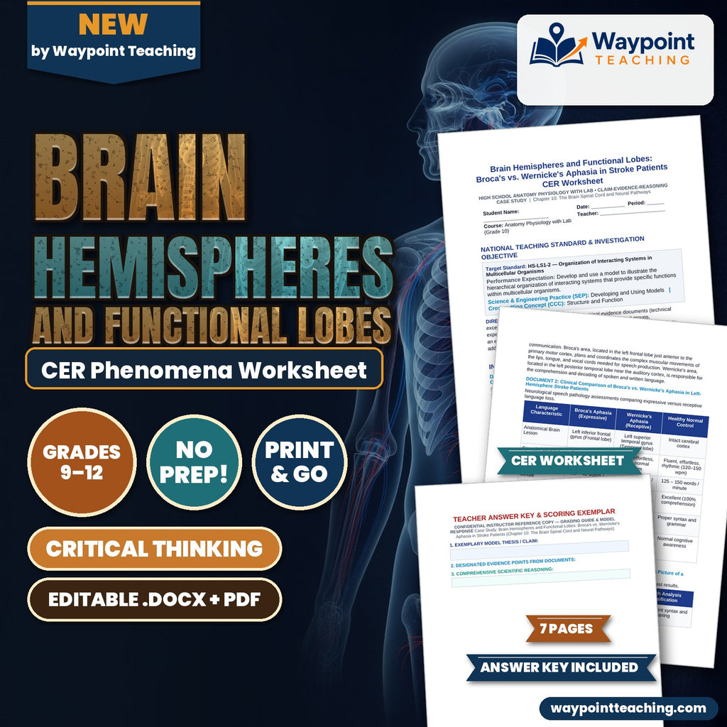 Brain Hemispheres and Functional Lobes: Broca's vs. Wernicke's Aphasia in Stroke Patients CER Phenomena Worksheet cover