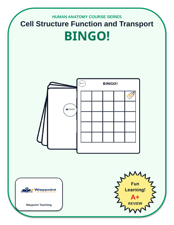 Cell Structure, Function, & Transport BINGO Review Game sample page