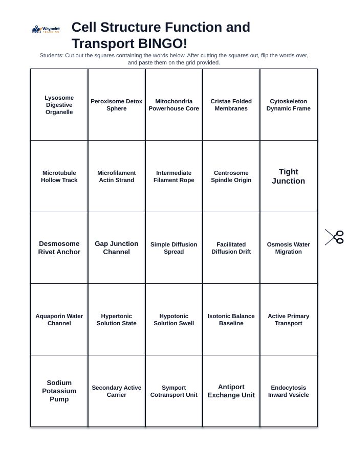 Cell Structure, Function, & Transport BINGO Review Game sample page