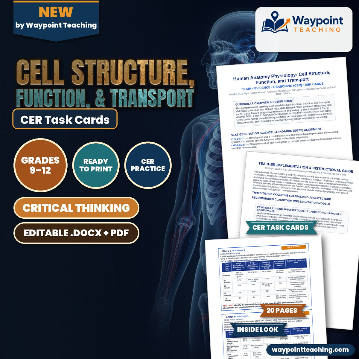 Cell Structure, Function, & Transport CER Task Cards cover