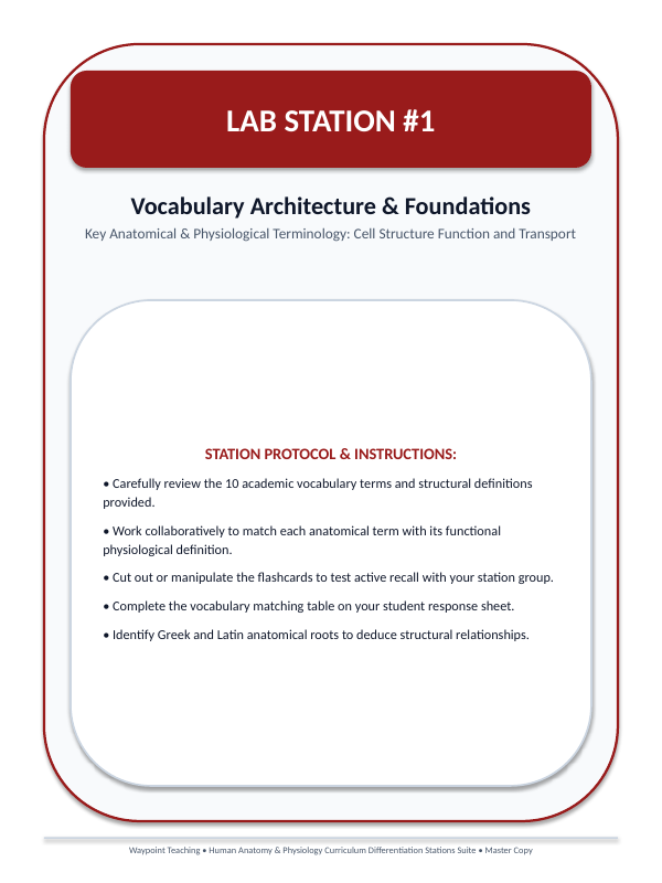 Cell Structure, Function, & Transport Differentiation Stations sample page