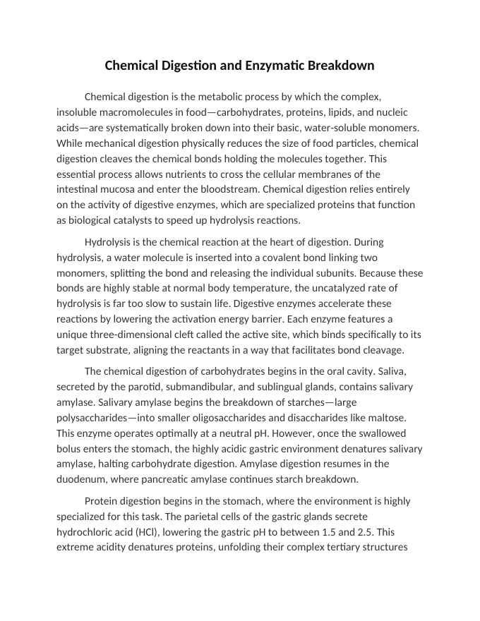 Chemical Digestion and Enzymatic Breakdown Reading Worksheet sample page