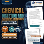 Chemical Digestion and Enzymatic Breakdown Reading Worksheet cover
