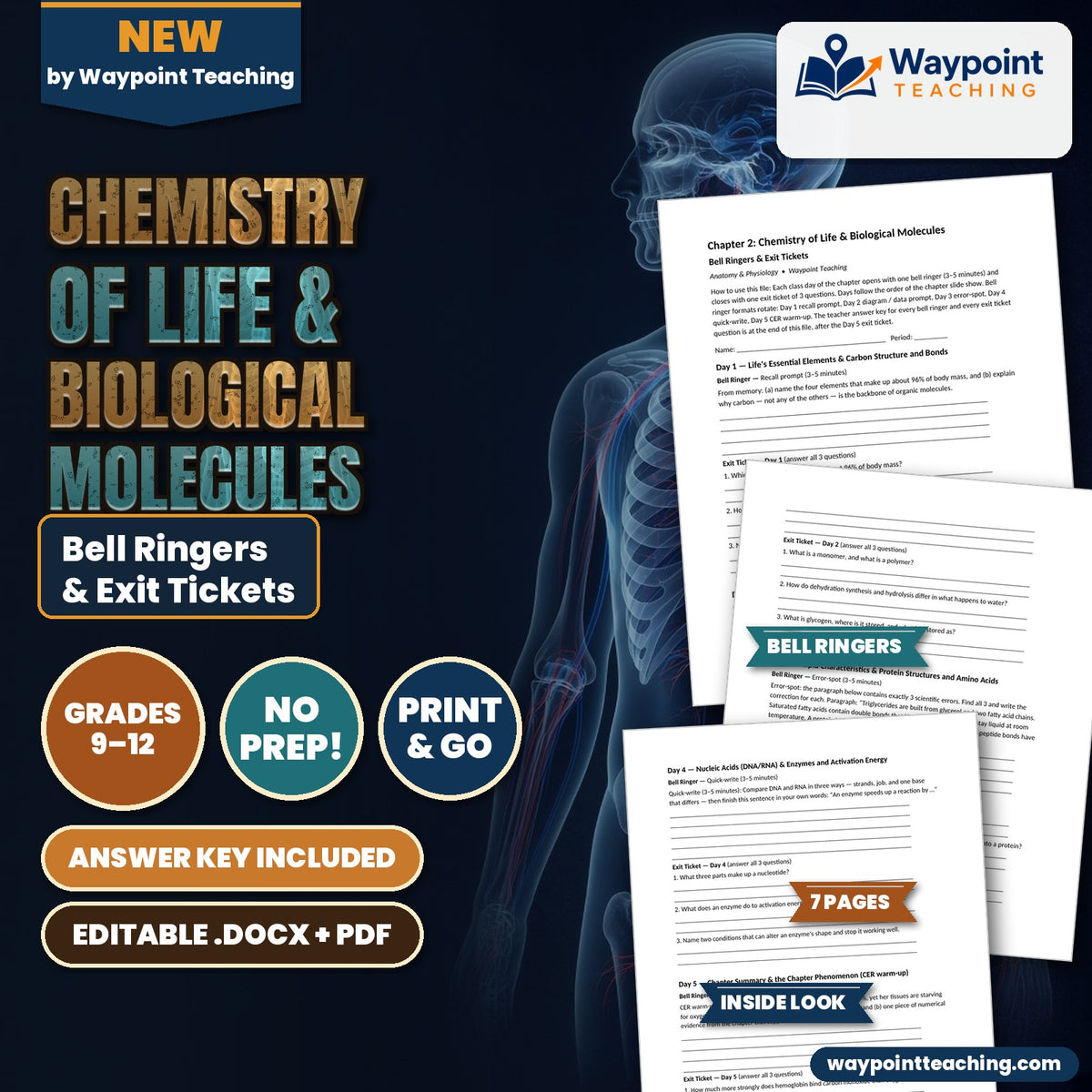 Chemistry of Life & Biological Molecules Bell Ringers & Exit Tickets cover