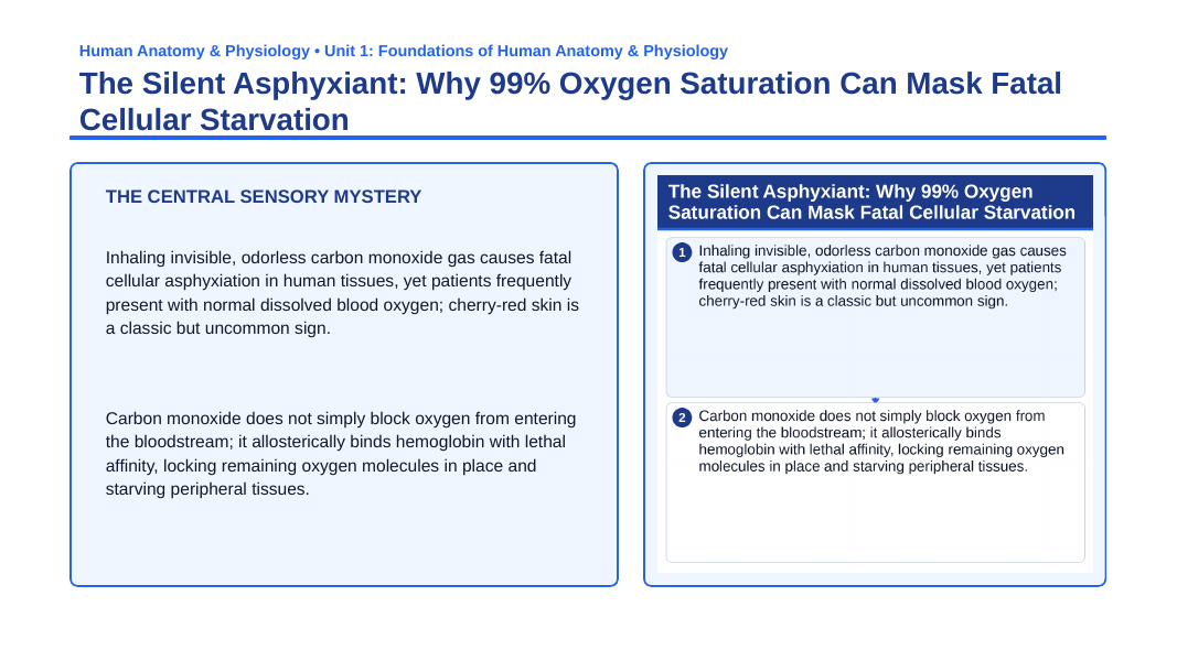 Chemistry of Life & Biological Molecules Phenomena-Based Lesson: The Silent Asphyxiant: Why 99% Oxygen Saturation Can Mask Fatal Cellular Starvation Presentation sample page