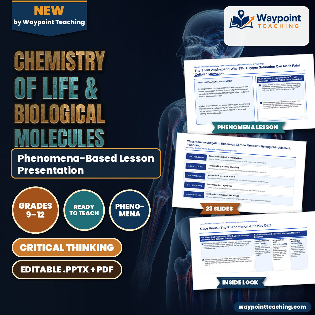 Chemistry of Life & Biological Molecules Phenomena-Based Lesson: The Silent Asphyxiant: Why 99% Oxygen Saturation Can Mask Fatal Cellular Starvation Presentation cover
