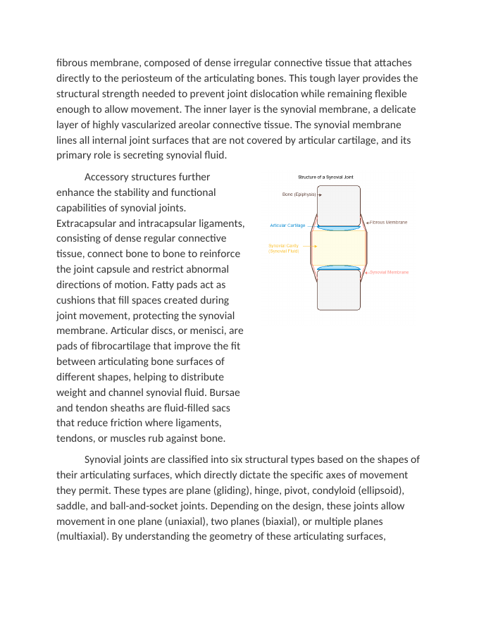 Classifying Synovial Joints and Their Structures Reading Worksheet sample page