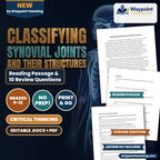 Classifying Synovial Joints and Their Structures Reading Worksheet cover