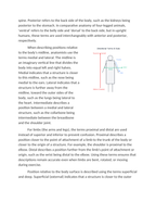 Directional Terms and Body Planes in Laboratory Practice Reading Worksheet sample page