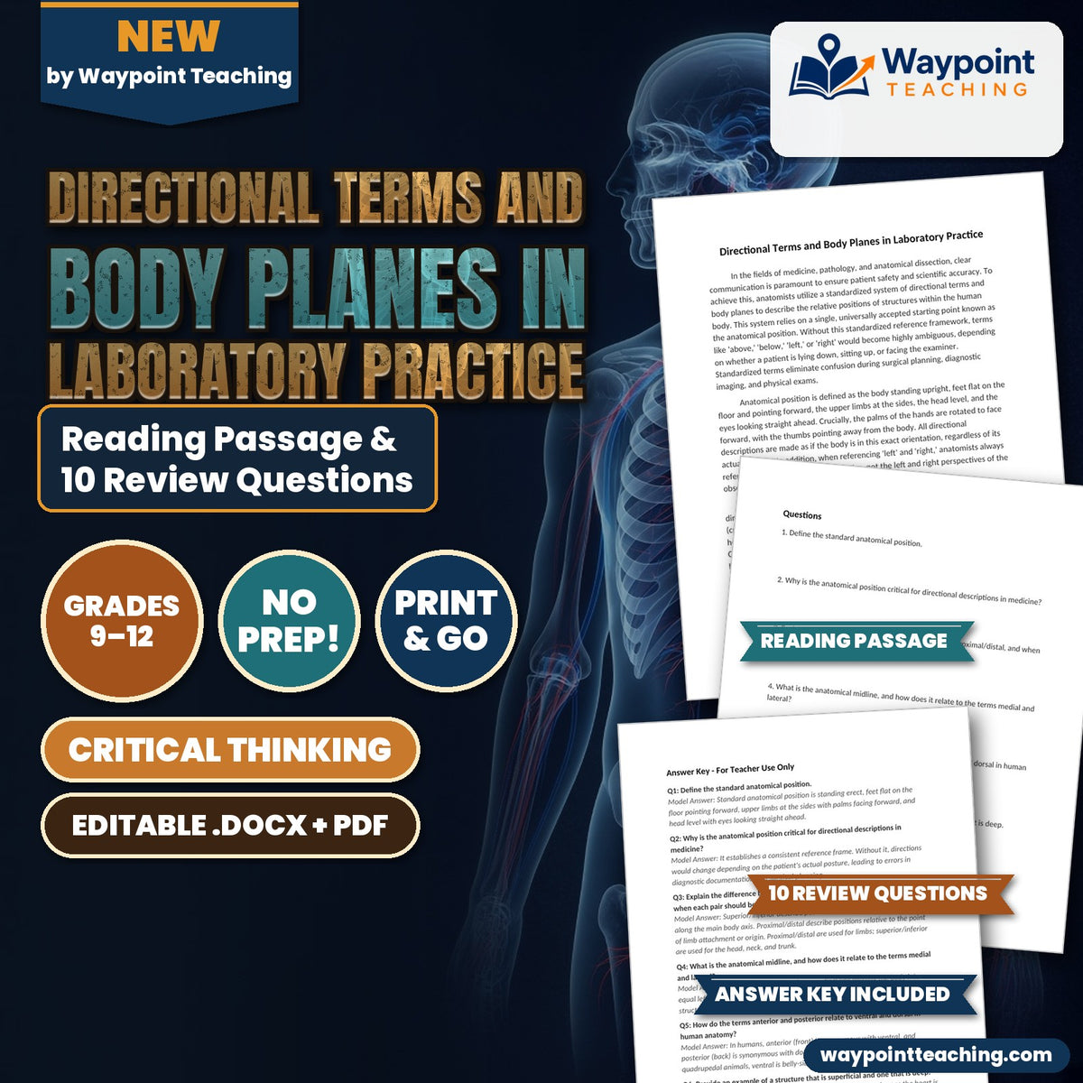 Directional Terms and Body Planes in Laboratory Practice Reading Worksheet cover