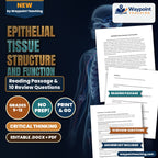 Epithelial Tissue Structure and Function Reading Worksheet cover