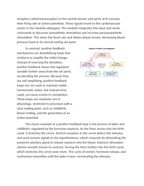 Feedback Mechanisms in Coordinated Bodily Responses Reading Worksheet sample page