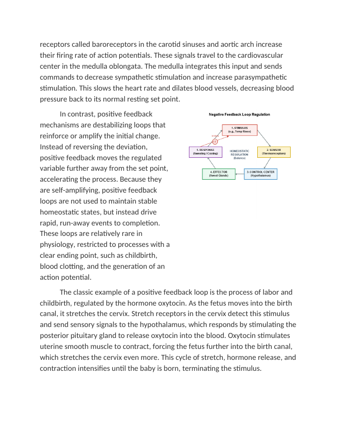 Feedback Mechanisms in Coordinated Bodily Responses Reading Worksheet sample page