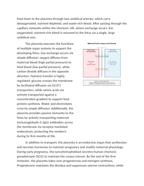 Fetal Development and Placental Function Reading Worksheet sample page