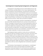 Gametogenesis Comparing Spermatogenesis and Oogenesis Reading Worksheet sample page