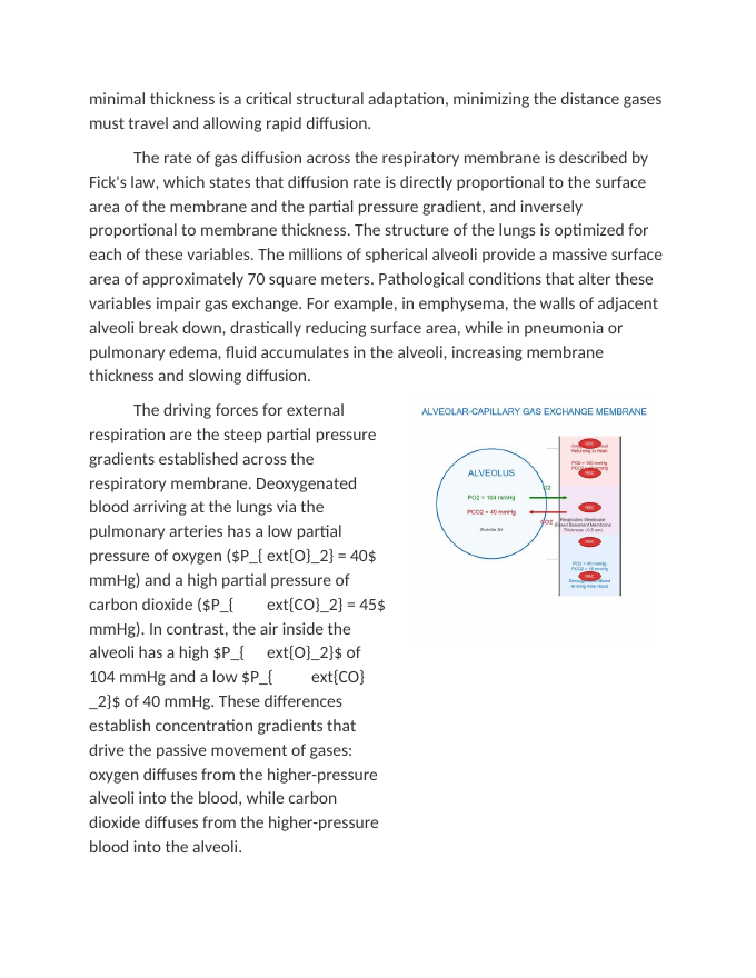 Gas Exchange at the Alveolar-Capillary Membrane Reading Worksheet sample page