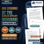 Gas Exchange at the Alveolar-Capillary Membrane Reading Worksheet cover