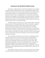 Hemostasis and the Blood Clotting Cascade Reading Worksheet sample page