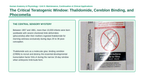 Human Development & Embryology Phenomena-Based Lesson: The Critical Teratogenic Window: Thalidomide, Cereblon Binding, and Phocomelia Presentation sample page