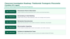 Human Development & Embryology Phenomena-Based Lesson: The Critical Teratogenic Window: Thalidomide, Cereblon Binding, and Phocomelia Presentation sample page