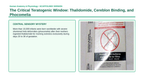 Human Development & Embryology Scaffolded Phenomena-Based Lesson: The Critical Teratogenic Window: Thalidomide, Cereblon Binding, and Phocomelia Presentation sample page