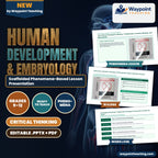 Human Development & Embryology Scaffolded Phenomena-Based Lesson: The Critical Teratogenic Window: Thalidomide, Cereblon Binding, and Phocomelia Presentation cover