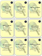 Human Development & Embryology Trivia Board Game sample page