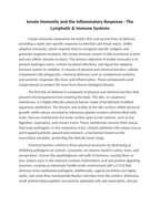 Innate Immunity and the Inflammatory Response Reading Worksheet sample page